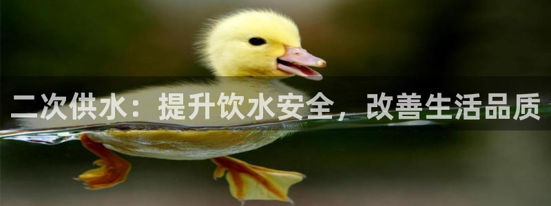 球友会体育app官方版下载安装最新