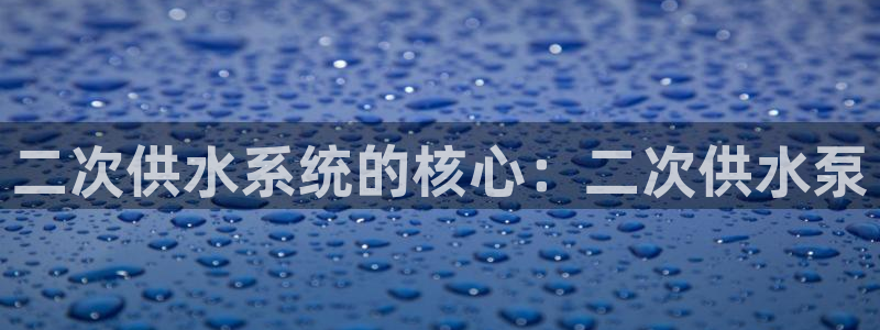 球友会app干啥的