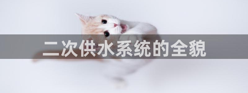 球友会英文怎么说呢翻译