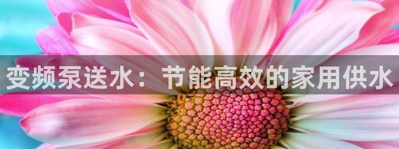 球友会是什么