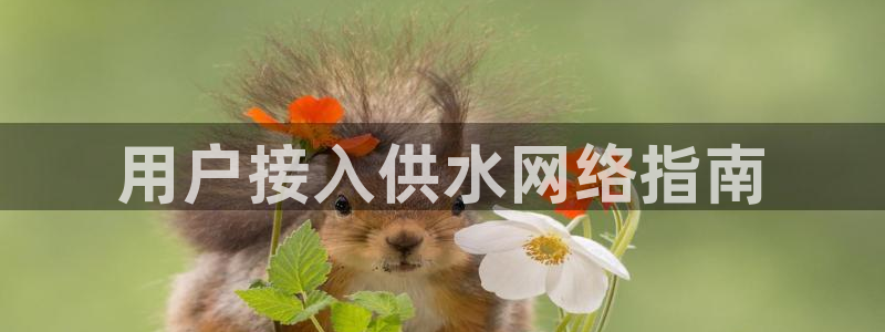 球友会在线登录