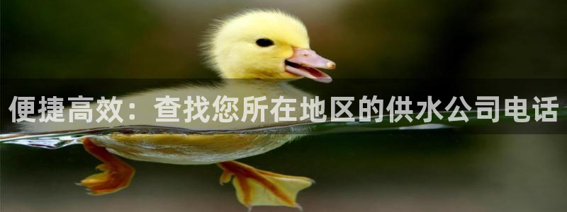球友会友谊赛7月28日曼联阿森纳