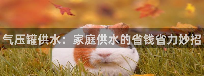 球友会提款审核