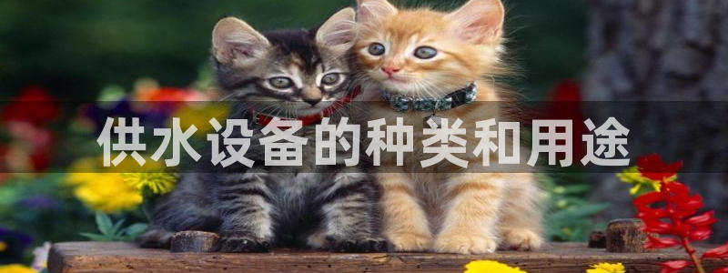 球友会提款