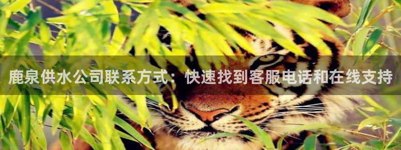 球友会体育