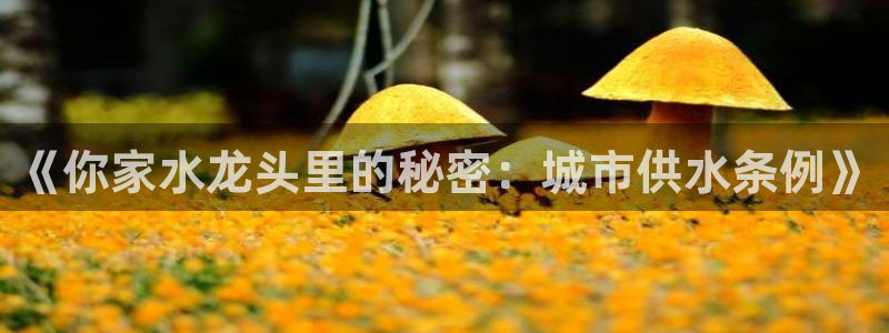 球友会台球俱乐部