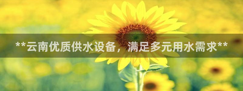 球友会英文怎么说呢翻译