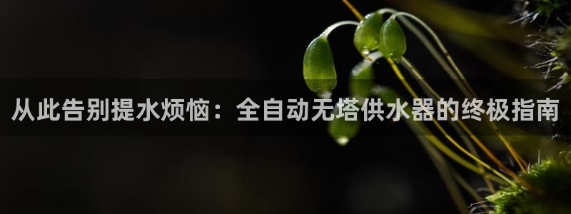 qy球友会体育怎么样