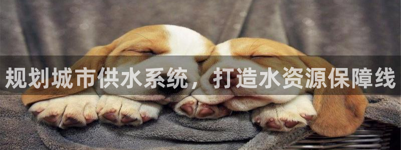 QY球友会体育官网