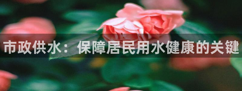 球友会提现
