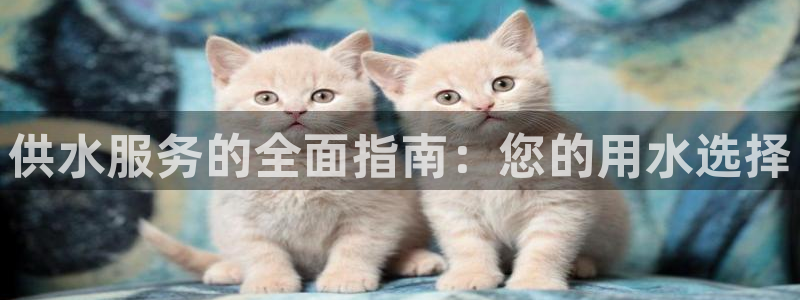 球友会审核