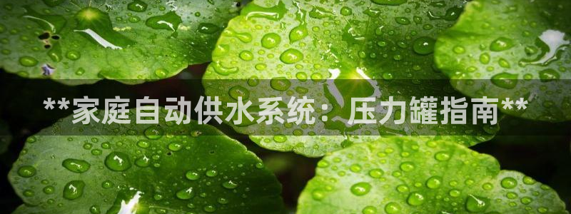QY球友会体育官网