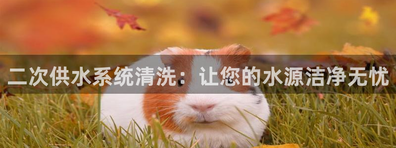球友会破解码
