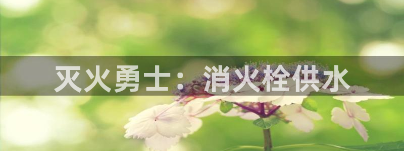 球友会apy