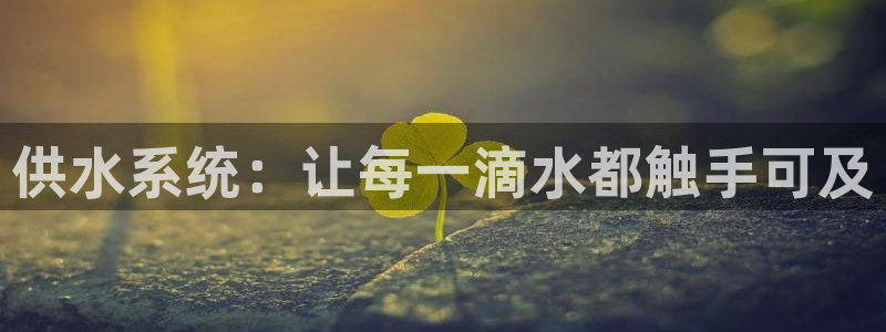 QY球友会体育官网
