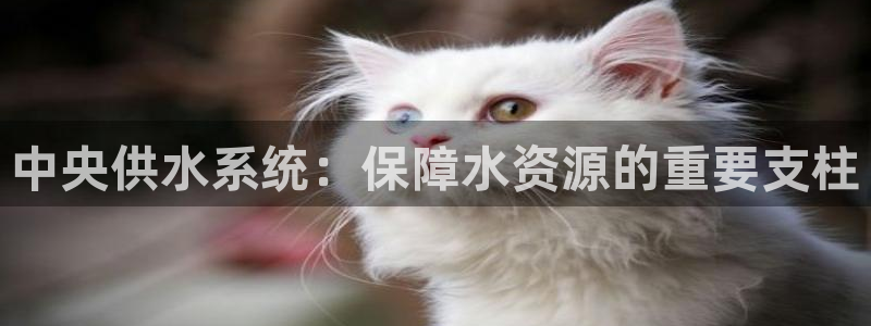 qy球友会体育官网下载