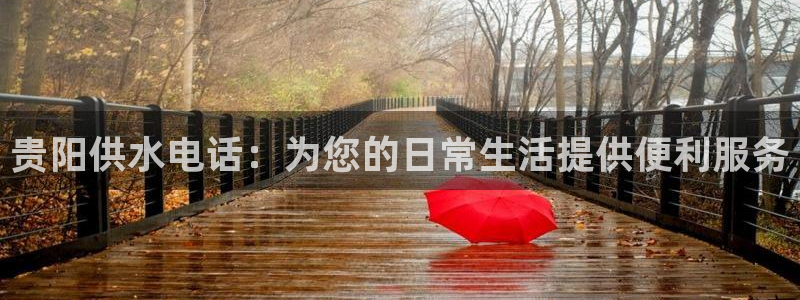 球友会体育官网