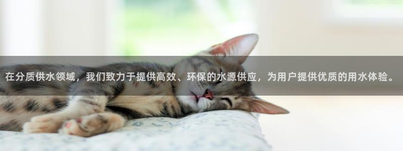 球友会比赛结果查询