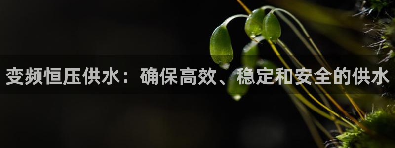 球友会app