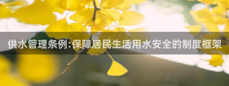 球友会友谊赛赛程赛果