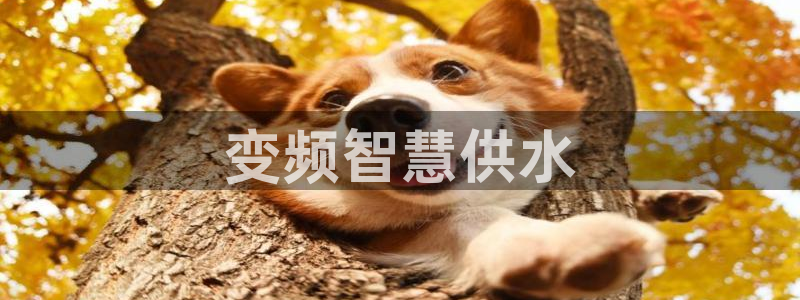 球友会app官网下载安装