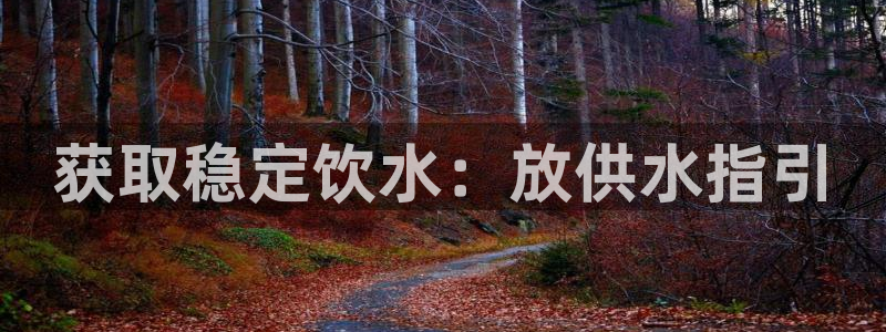 球友会app安全吗可靠吗