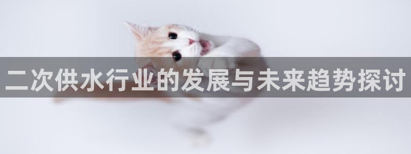 球友会提款审核中