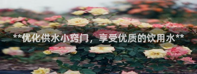 球友会app安全吗可靠吗