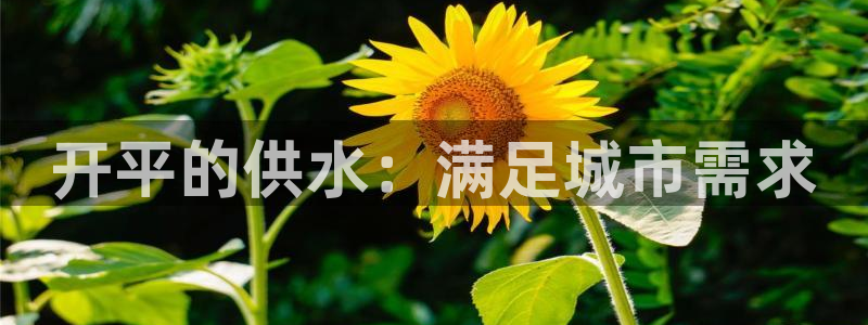 球友会官网登录入口