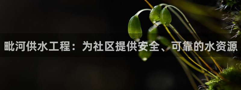 球友会app干啥的软件