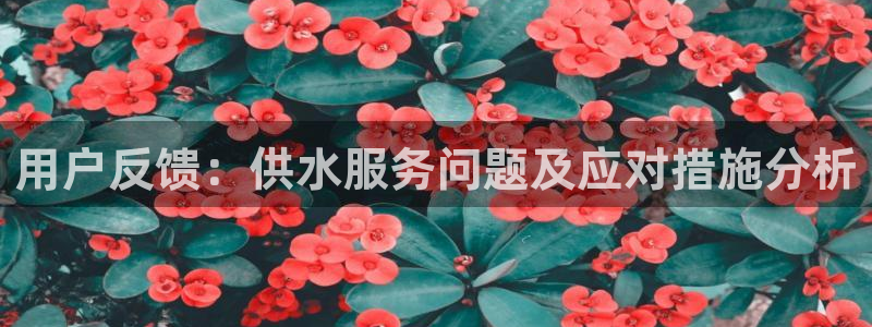 球友会登录球友会官网