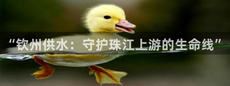 球友会提现游戏平台抽查