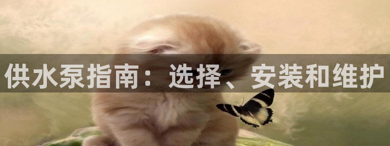 qy球友会体育怎么样