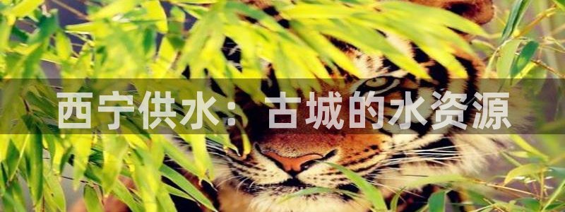 球友会app安全吗可靠吗是真的吗