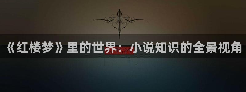 鸠摩搜书网址：《红楼梦》里的世界：小说知识的全景视角