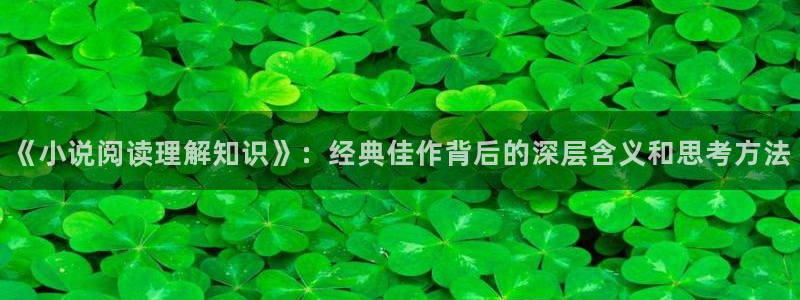 鸠摩搜书官网免费：《小说阅读理解知识》：经典佳作背后的深层含义和思考方法